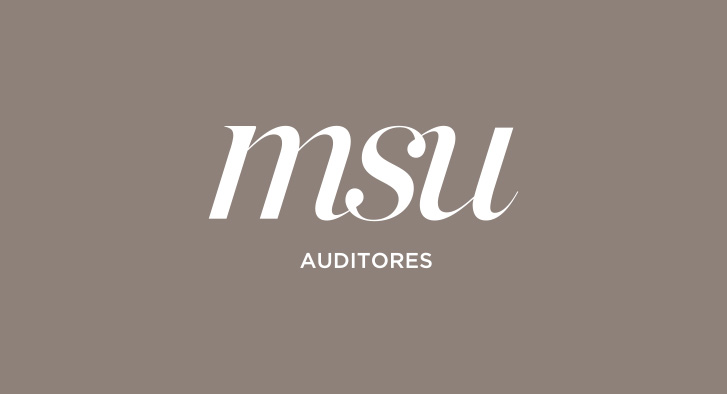 Proyecto MSU Auditores